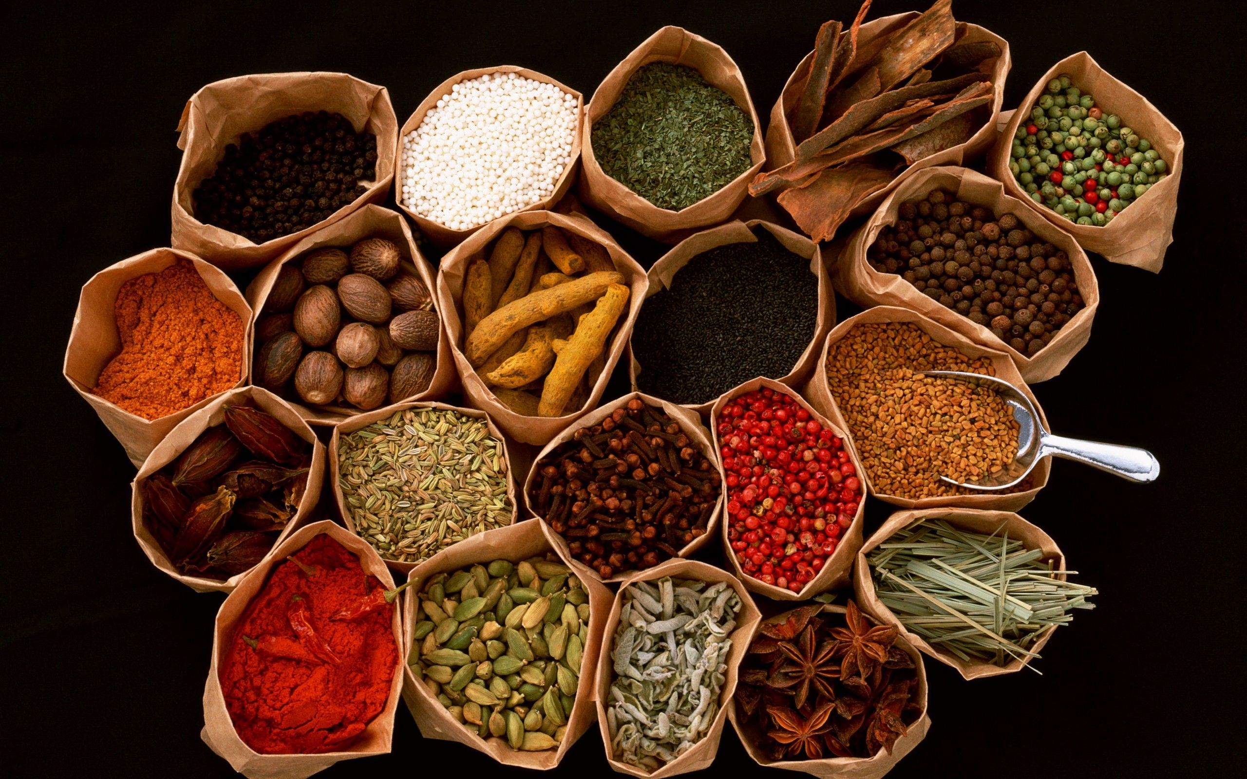 Coriander Seeds Suppliers in Ahmedabad, Gujarat, India