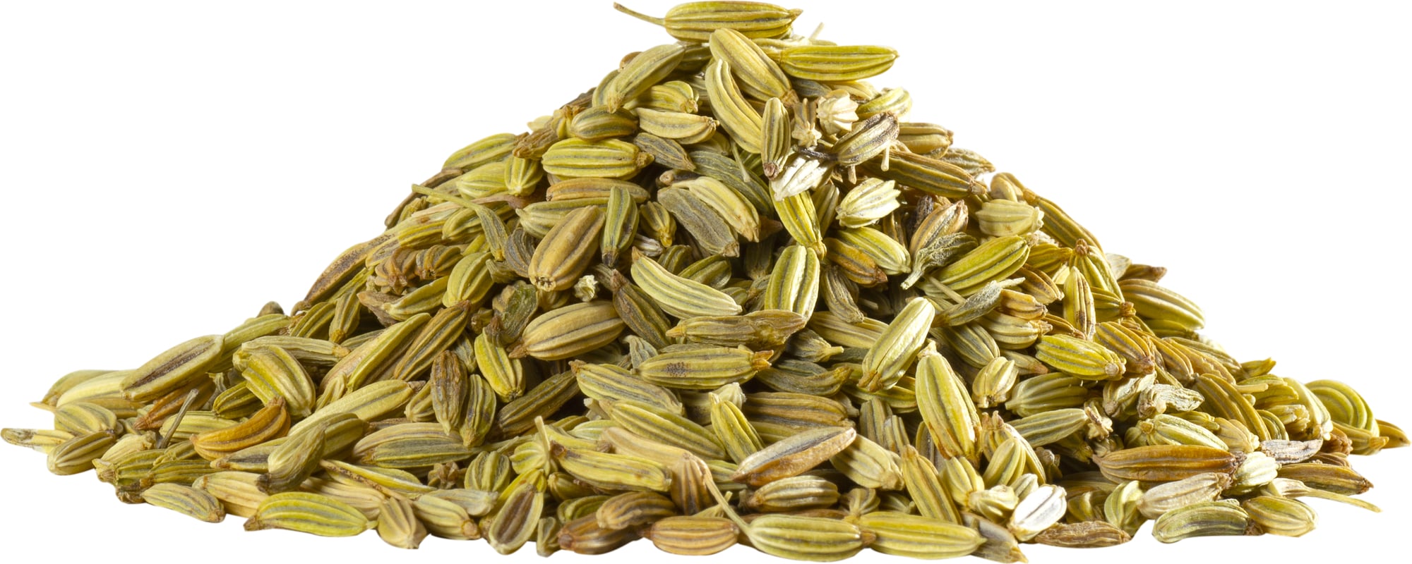 Fennel Seeds Suppliers in Ahmedabad, Gujarat, India
