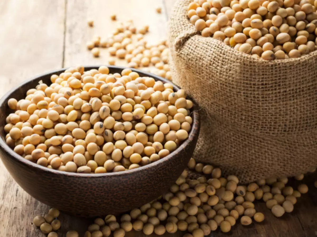 Guar Gum Seeds Suppliers in Ahmedabad, Gujarat, India