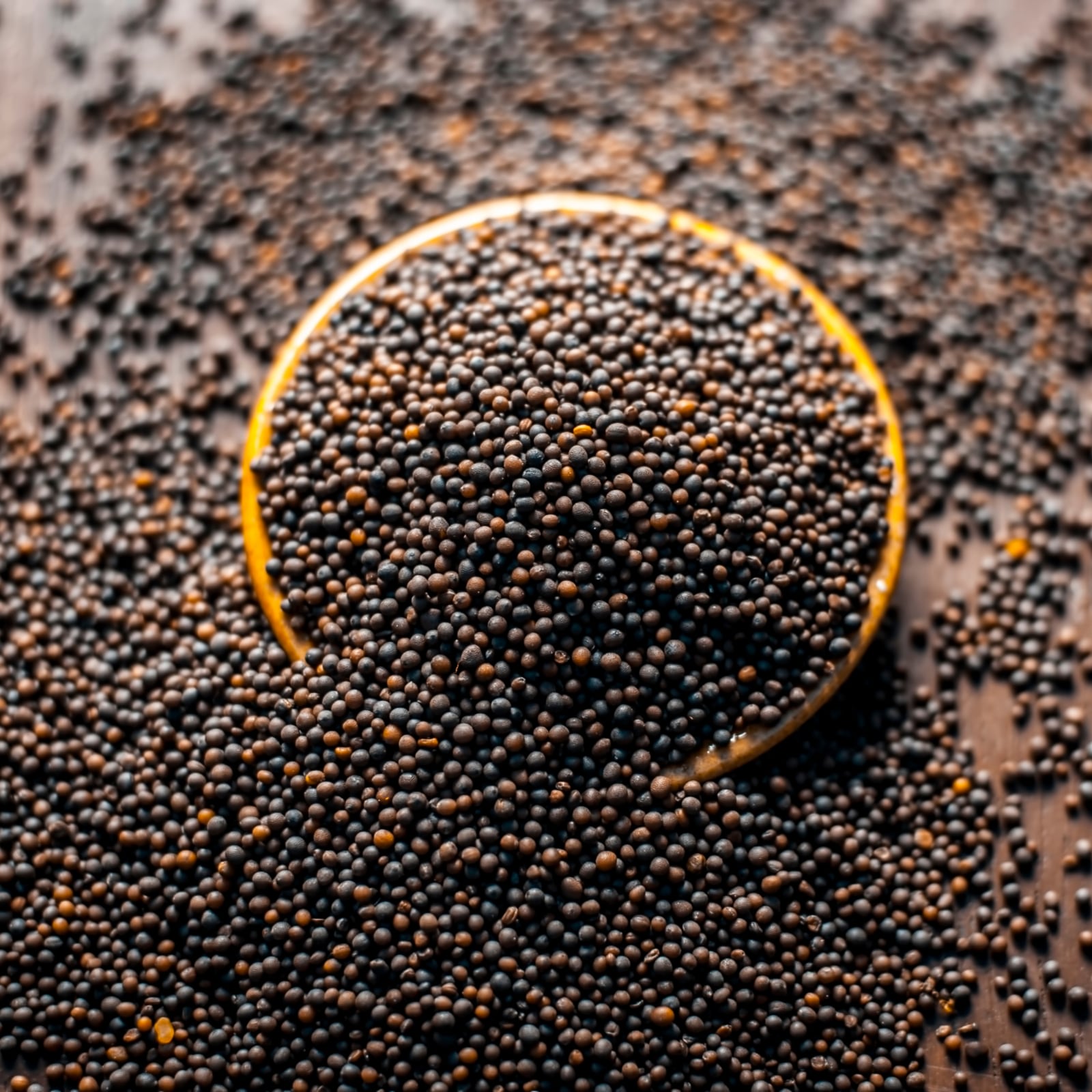 Mustard Seeds Suppliers in Ahmedabad, Gujarat, India