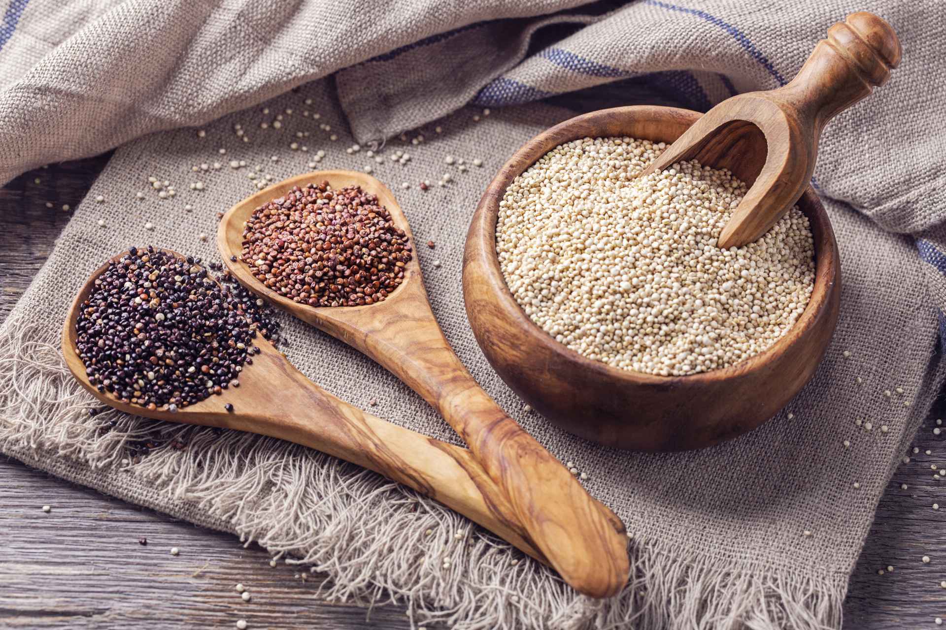 Coriander Seeds Suppliers in Ahmedabad, Gujarat, India